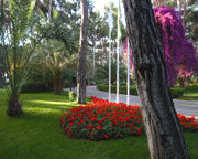 Turquoise Resort Side